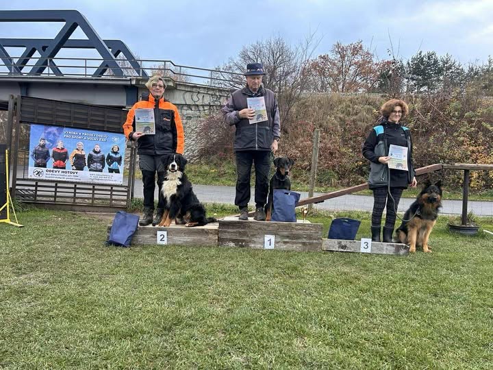 Boršovský stopař 25, kat. FPr1 na bedně