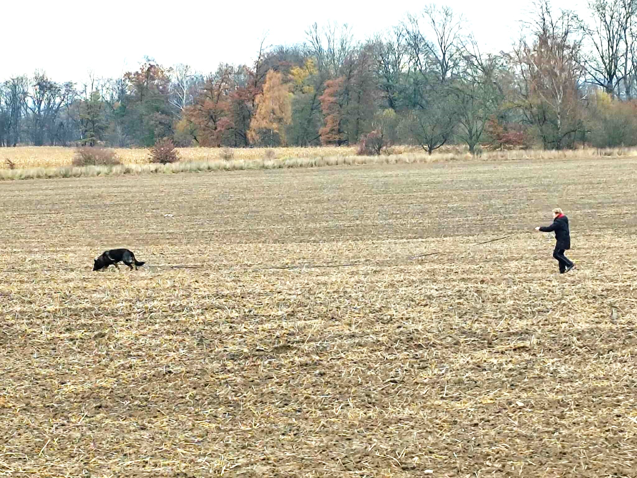 Boršovský stopař, Saša na stopě